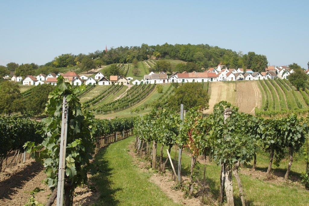 Gaestehaus Weinviertel - Niederoesterreich Siebenhirten Экстерьер фото